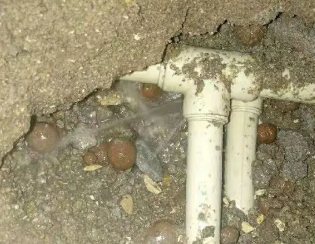 兴文卫生间测漏