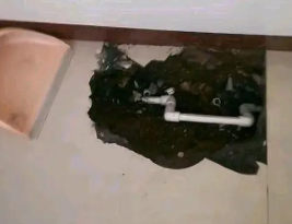 兴文卫生间测漏水多少钱